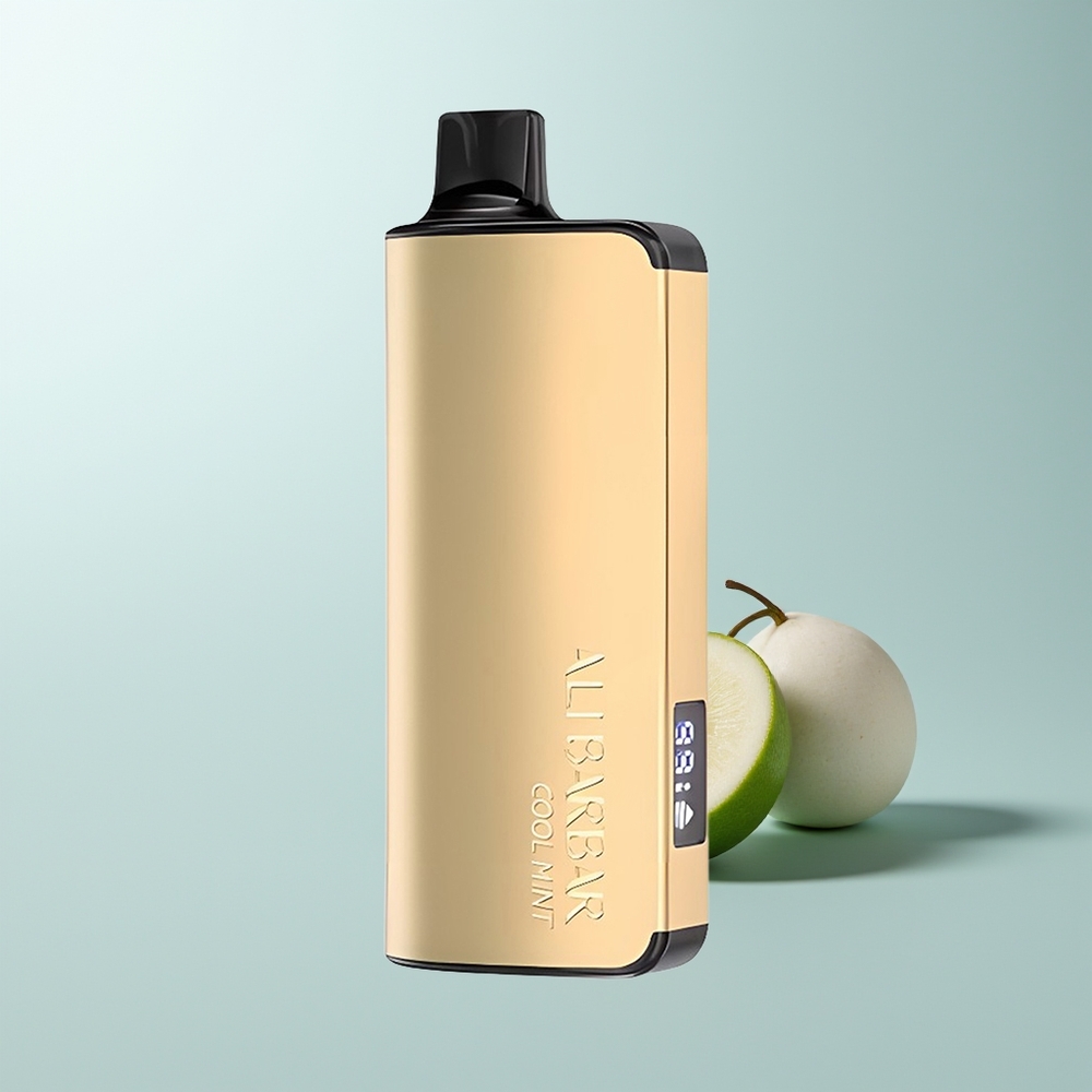 Alibarbar Ingot 9000 Puffs Menthe Fraîche 22ml 2350mah LED