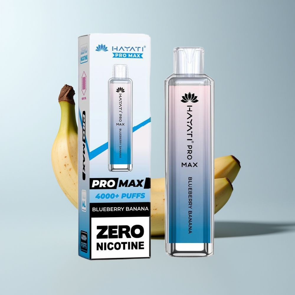 Hayati Pro Max 4000 Puffs Myrtille Banane Rechargeable Dual Mesh 2ml