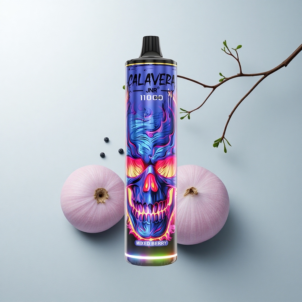 JNR Calavera 11000 Puffs Baie Mixte Type-C 850mAh Mesh 21ml