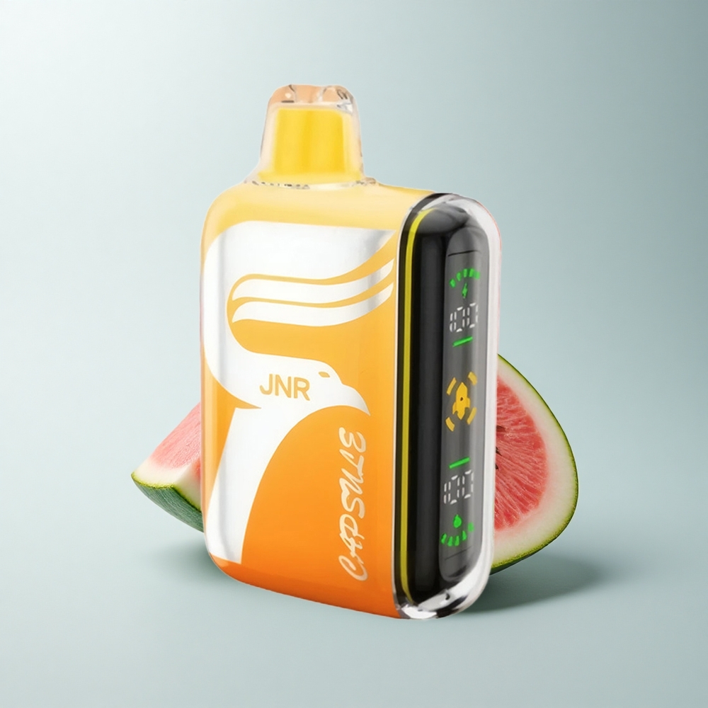 JNR Capsule 15000 Puffs Pastèque Irchee Double Mesh 20ml