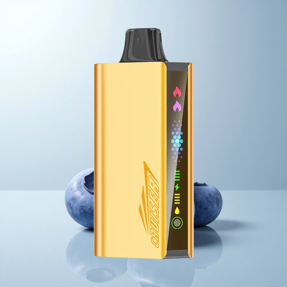 JNR Cruiser 12000 Puffs Explosion de Myrtille Dual Mesh 3500mAh