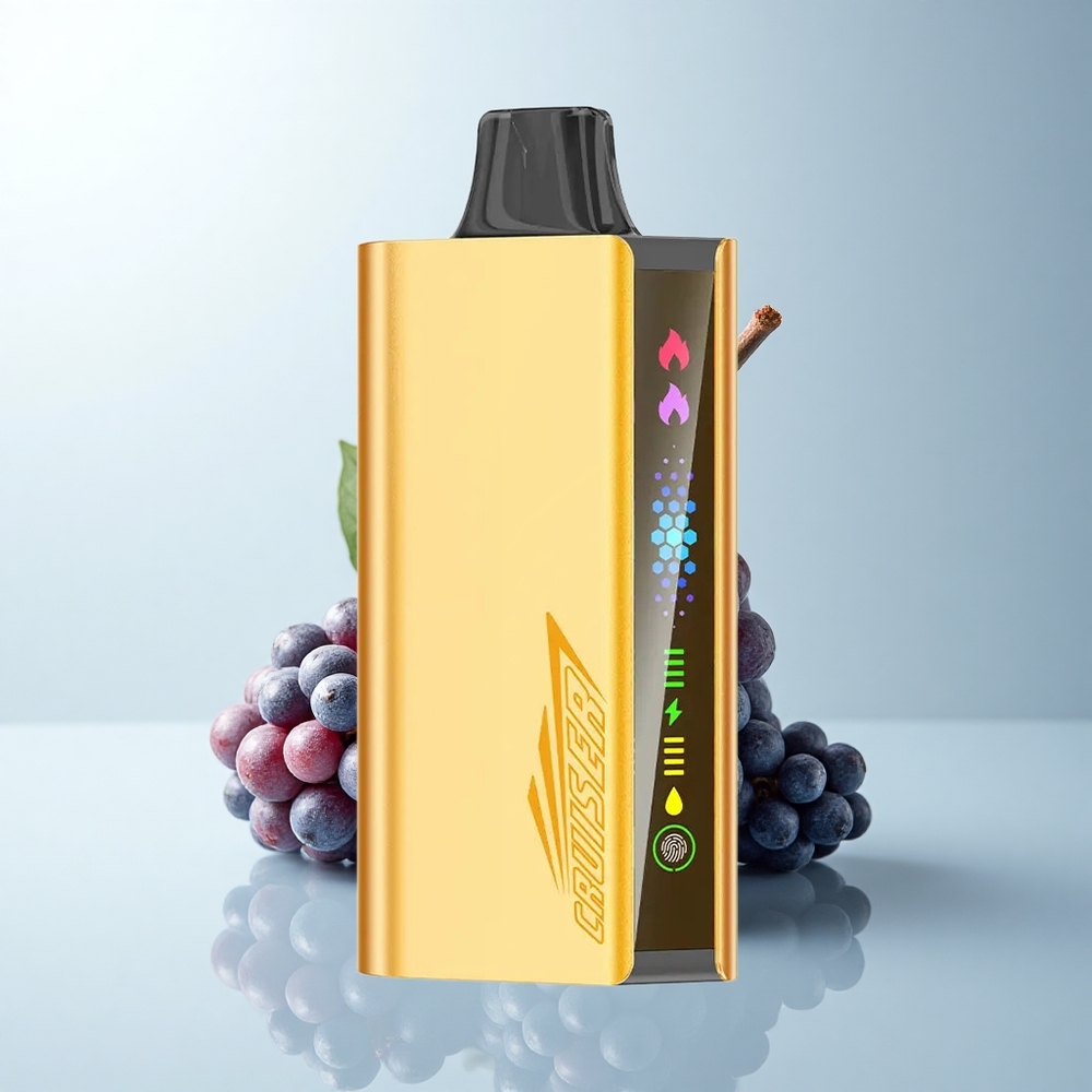 JNR Cruiser 12000 Puffs Glace de Mûre Métal Plein avec Écran Animé et Double Mesh