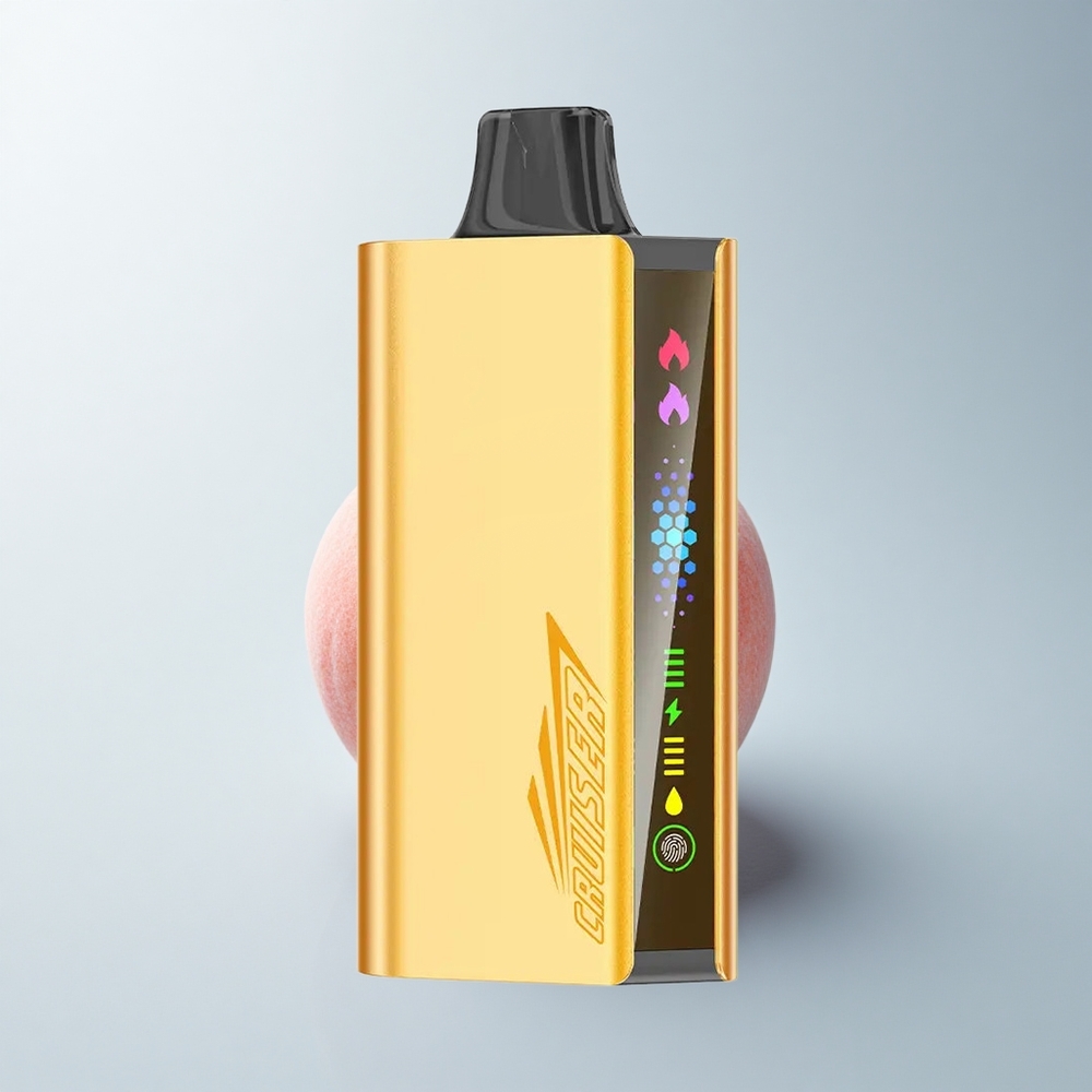 JNR Cruiser 12000 Puffs Glace de Pêche Métal Dual Mesh