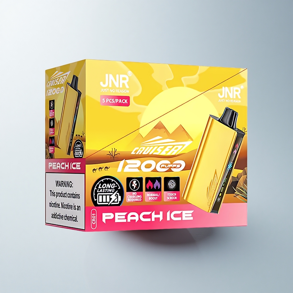 JNR Cruiser 12000 Puffs Glace de Pêche Métal Dual Mesh