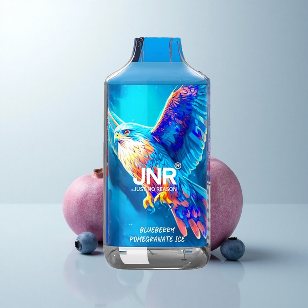 JNR Falcon 16000 Puffs Glace Myrtille Grenade Double Mesh 850mAh