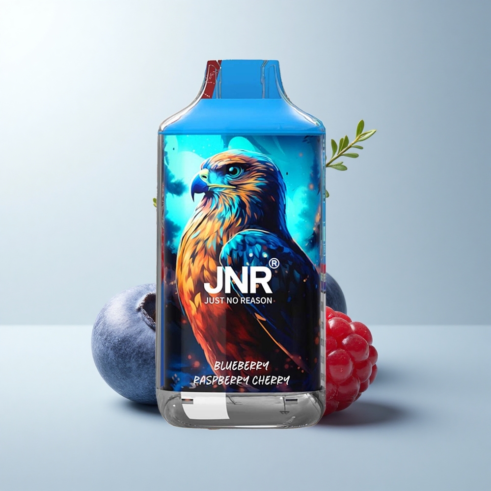 JNR Falcon 16000 Puffs Myrtille Framboise Cerise 850mAh 22ml Dual Mesh
