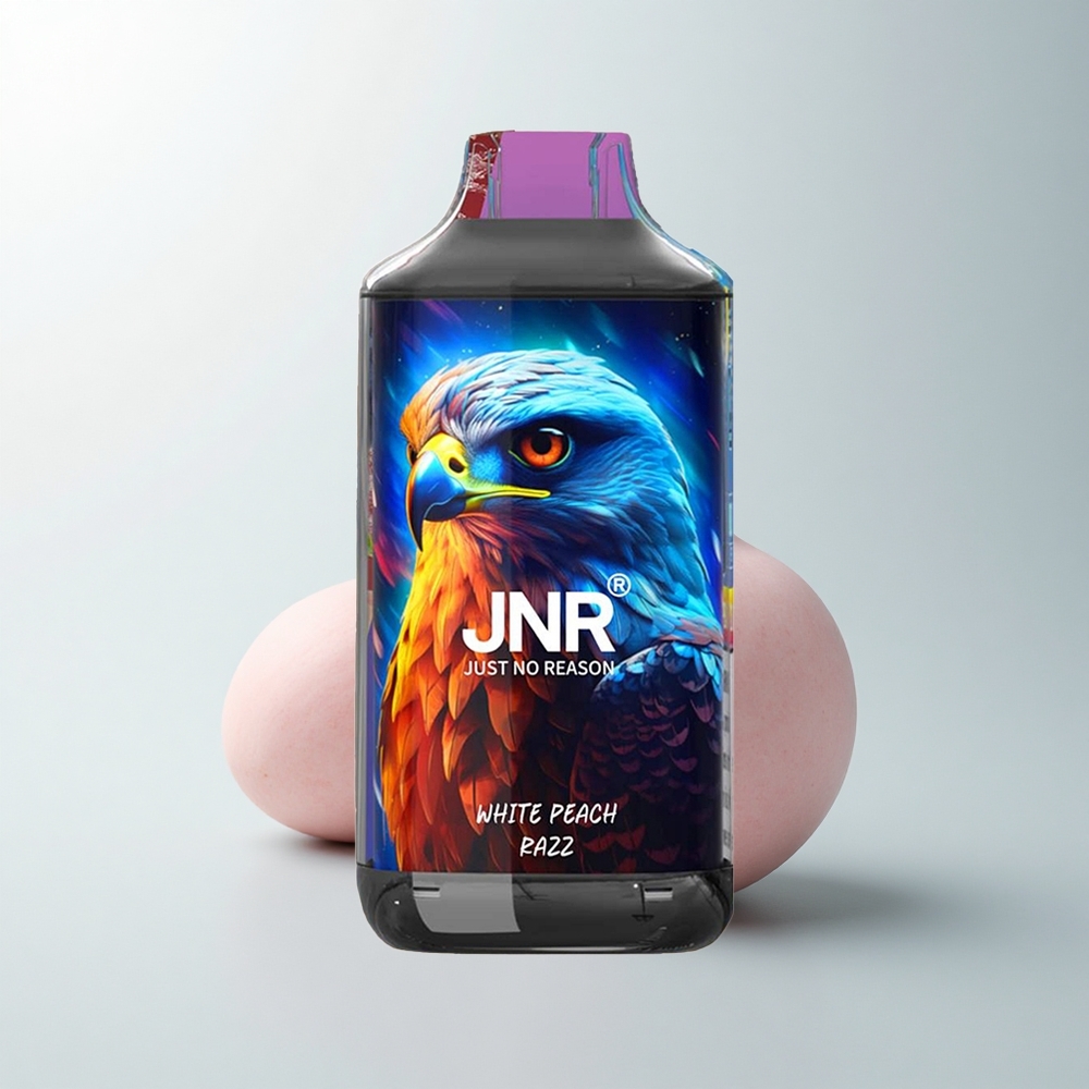 JNR Falcon 16000 Puffs Pêche Blanche Framboise Dual Mesh 850mAh Type C