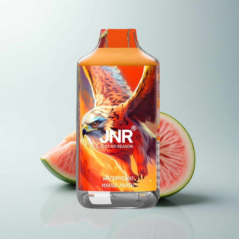 JNR Falcon 16000 Puffs Pastèque Mangue Pêche 850 mAh Dual Mesh Coil