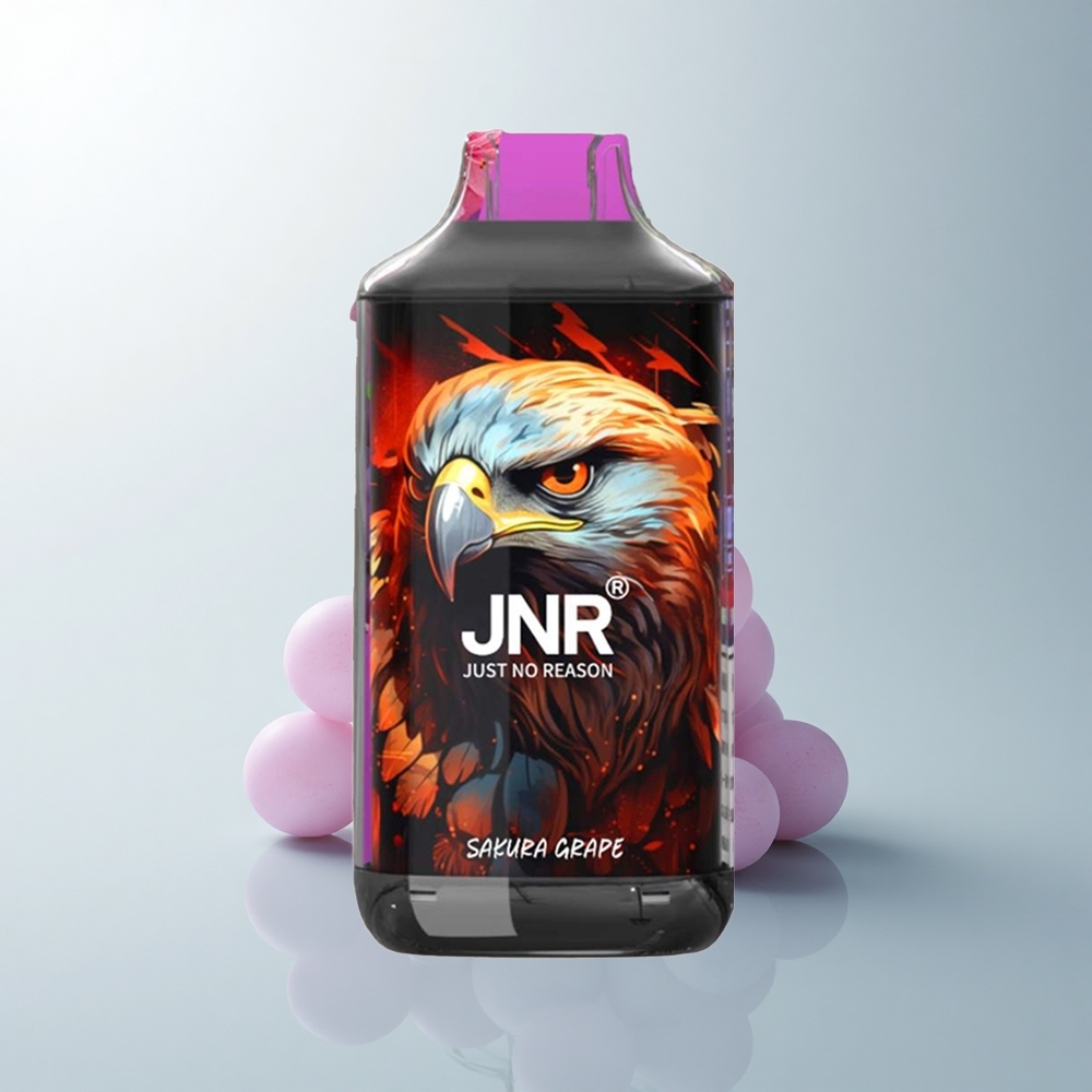 JNR Falcon 16000 Puffs Raisin Sakura Double Mesh 850mAh Type-C