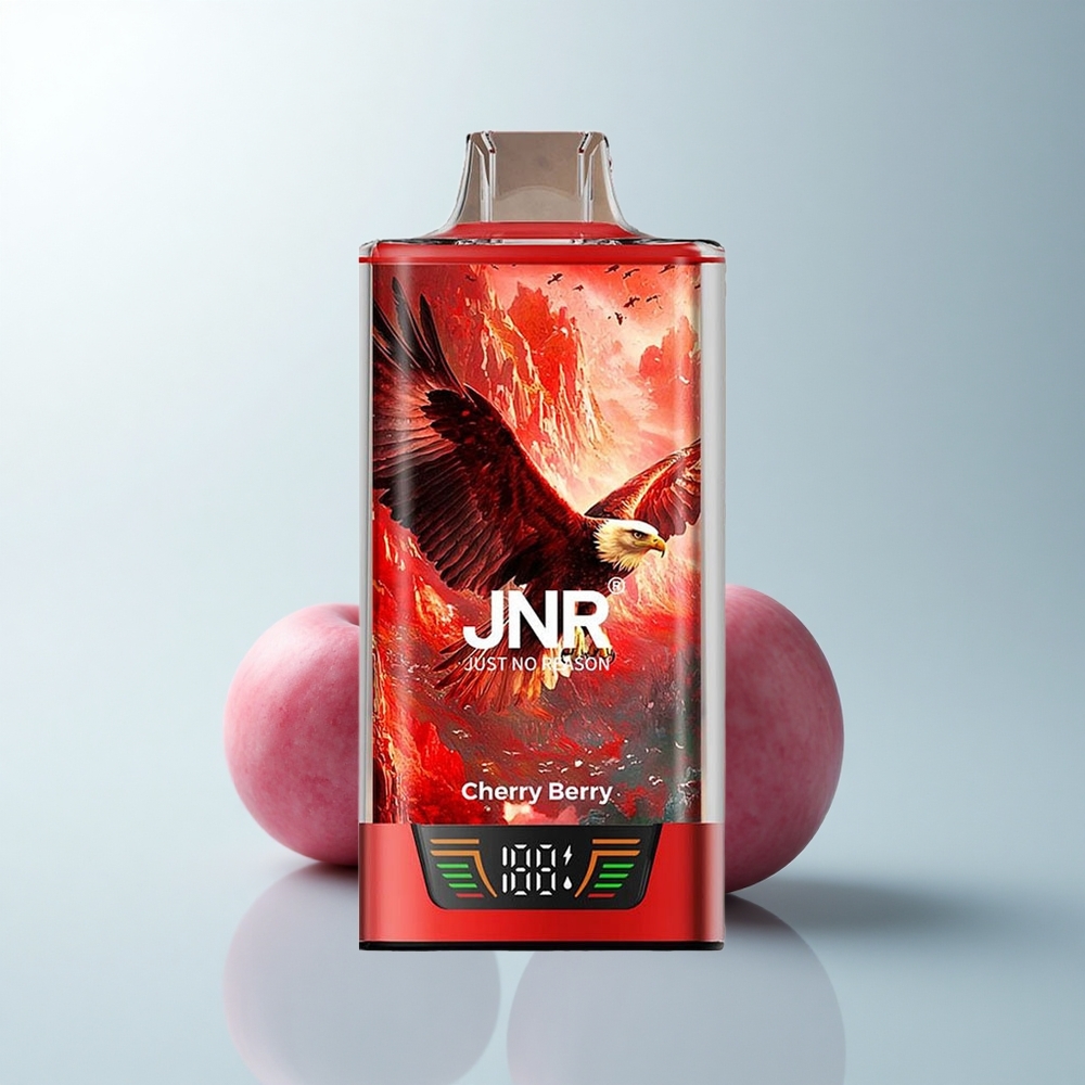 JNR Falcon Pro 28000 Puffs Baie Cerise Pro 28000 Puffs Dual Mesh USB-C