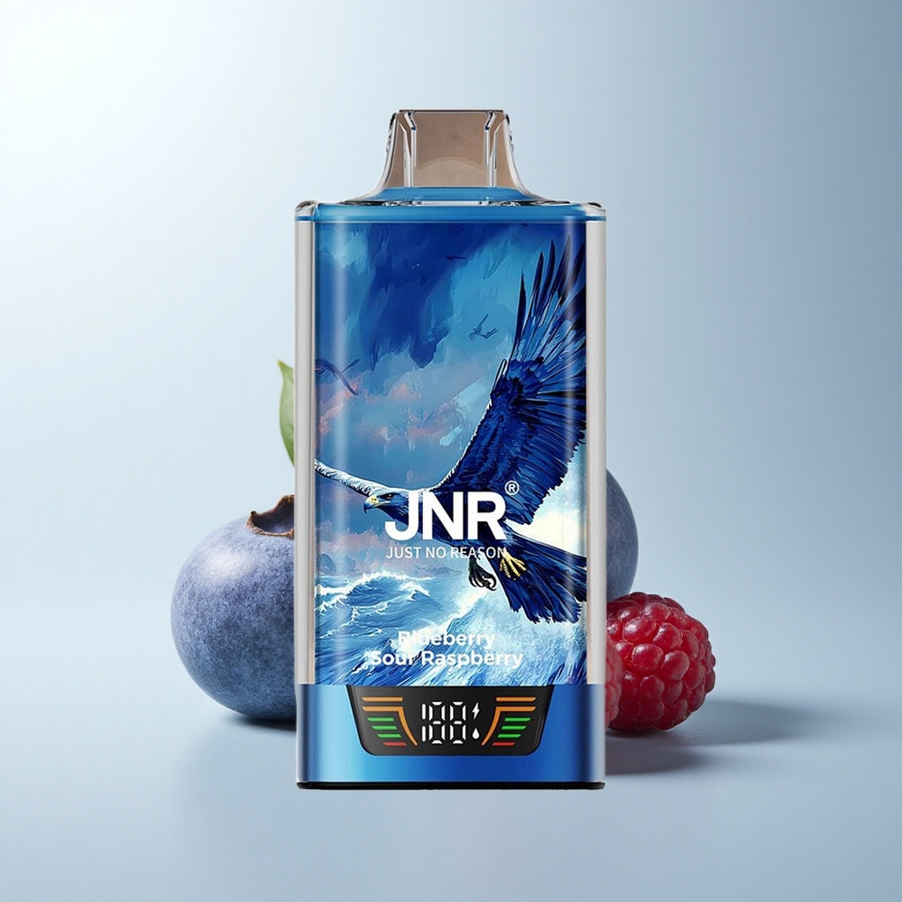 JNR Falcon Pro 28000 Puffs Framboise Acidulée Myrtille avec Double Mesh et Affichage Intelligent