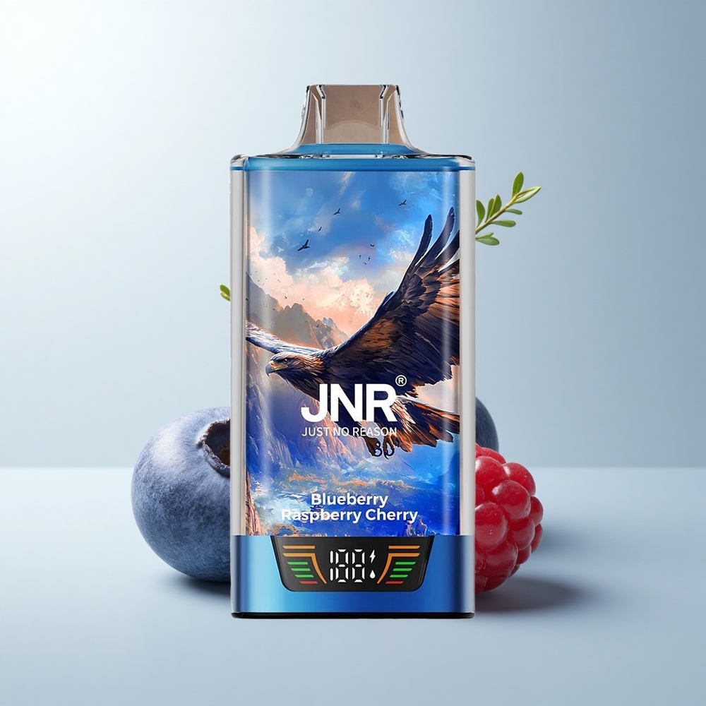 JNR Falcon Pro 28000 Puffs Myrtille Framboise Cerise Pro 28000 Dual Mesh USB-C