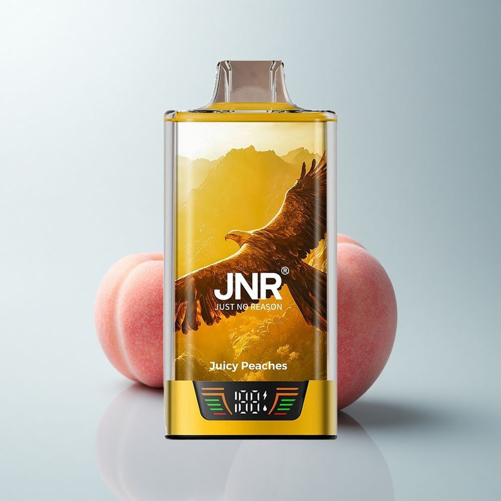 JNR Falcon Pro 28000 Puffs Pêches Juteuses Pro 28000 Puffs Dual Mesh