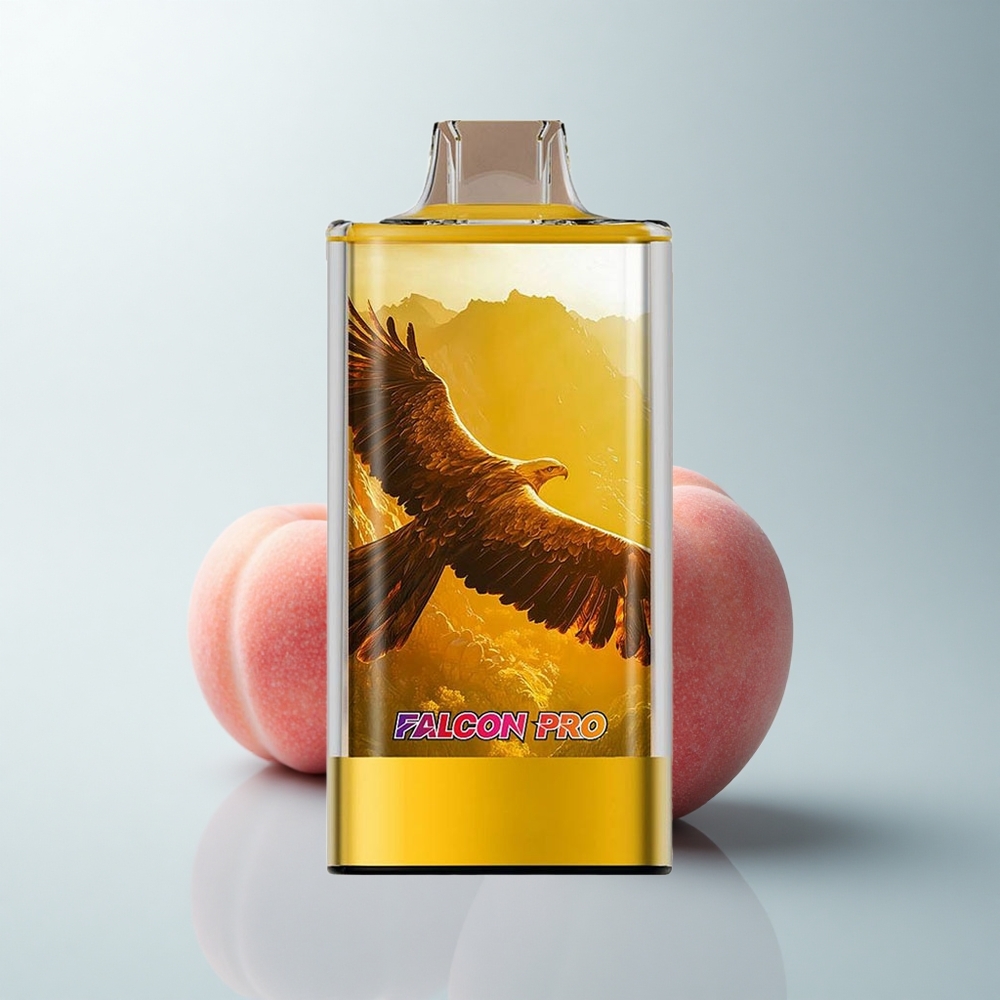 JNR Falcon Pro 28000 Puffs Pêches Juteuses Pro 28000 Puffs Dual Mesh