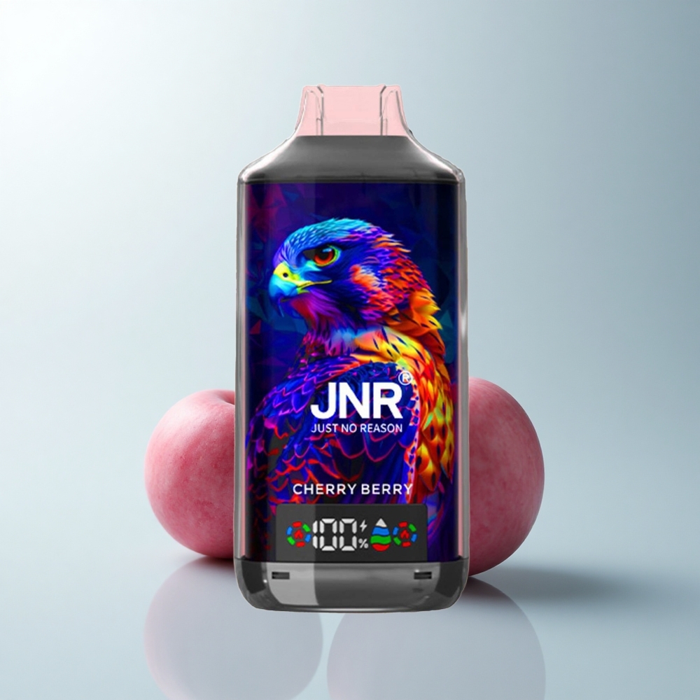 JNR Falcon X 18000 Puffs Baie Cerise Double Mesh 24ml Type-C