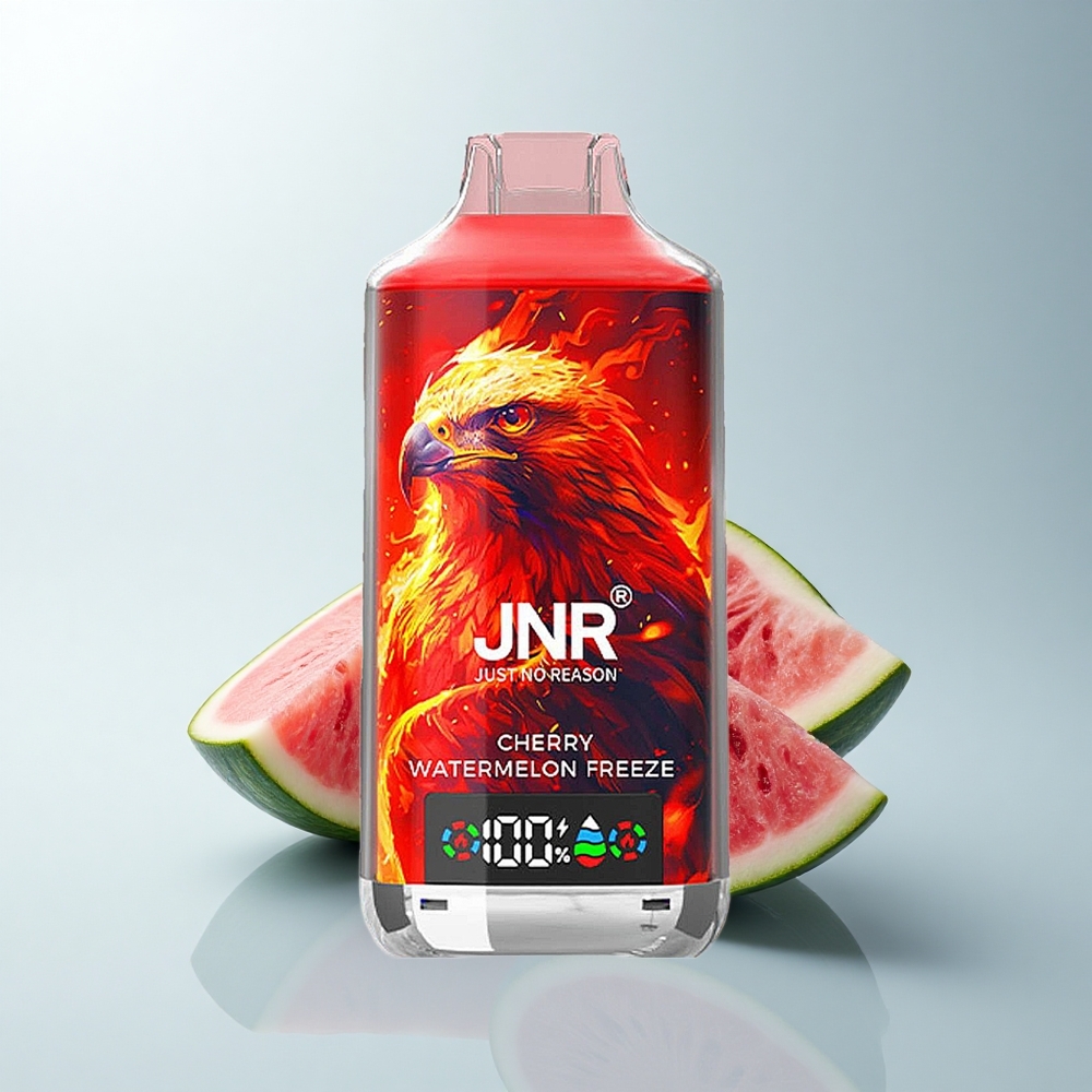 JNR Falcon X 18000 Puffs Glace Pastèque Cerise Double Mesh 24ml