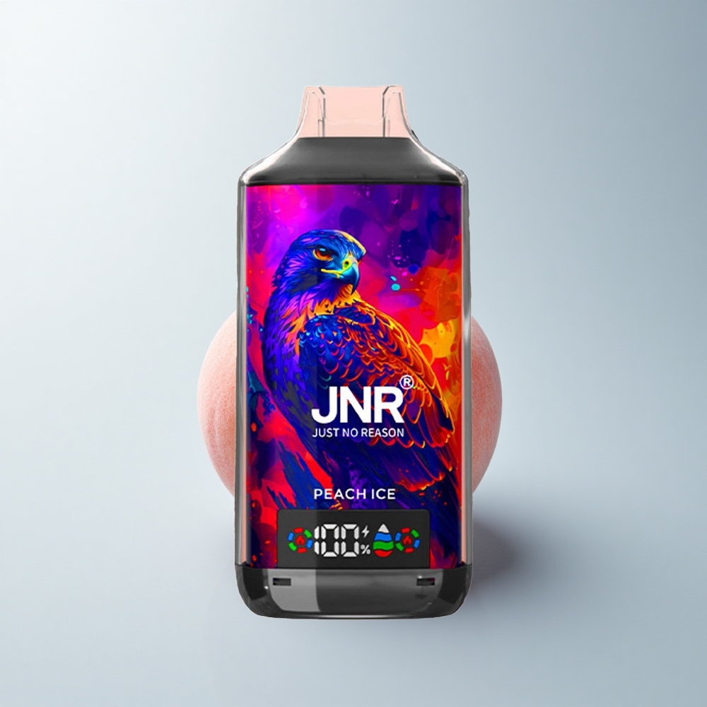 JNR Falcon X 18000 Puffs Glace de Pêche 18000 Dual Mesh Type-C