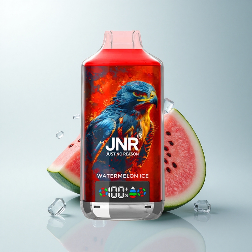 JNR Falcon X 18000 Puffs Glace à la Pastèque Dual Mesh 750mAh