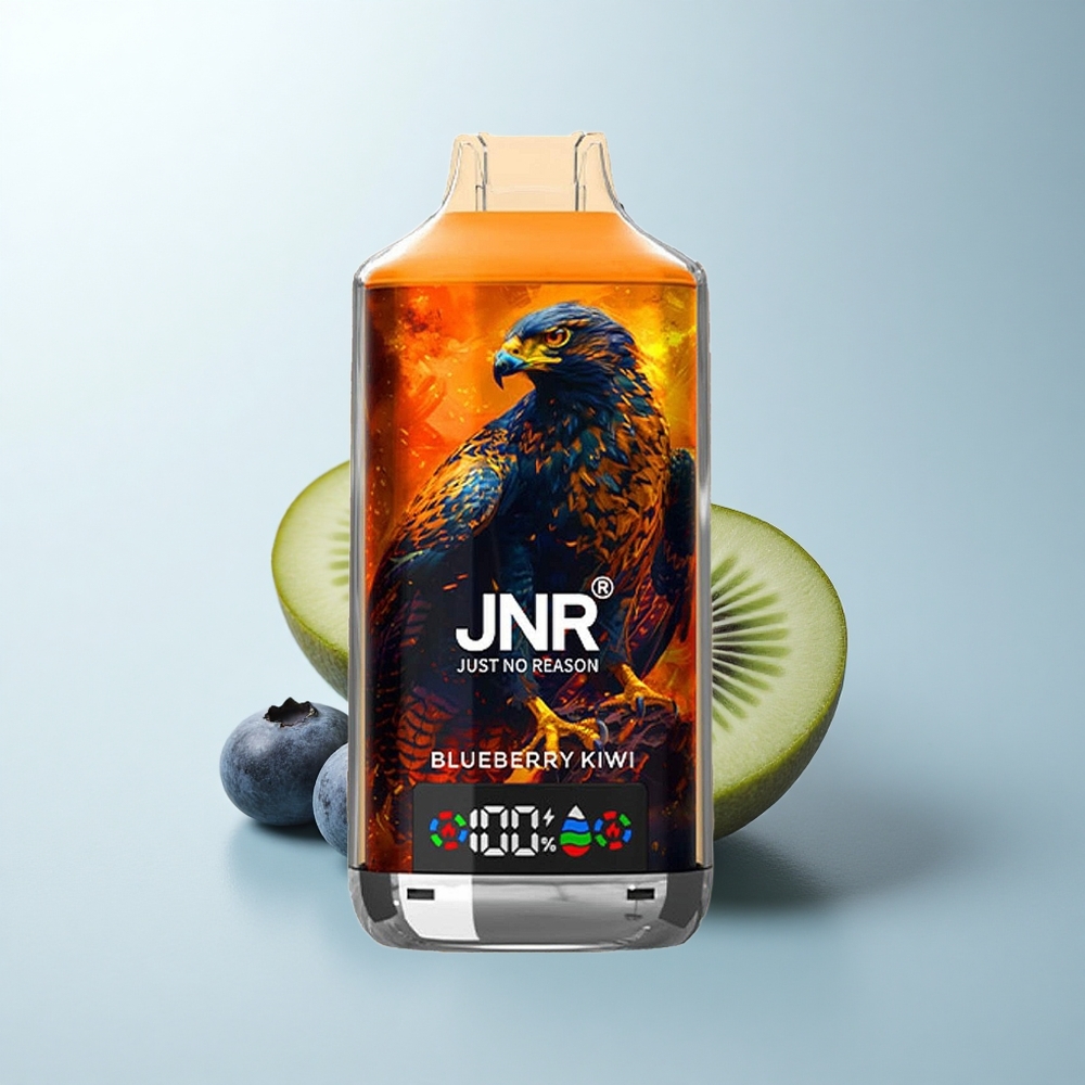 JNR Falcon X 18000 Puffs Myrtille Kiwi 750mAh Double Mesh Numérique