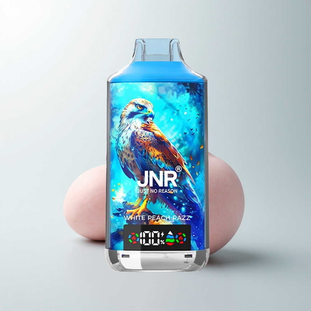 JNR Falcon X 18000 Puffs Pêche Blanche Framboise 24ml Dual Mesh