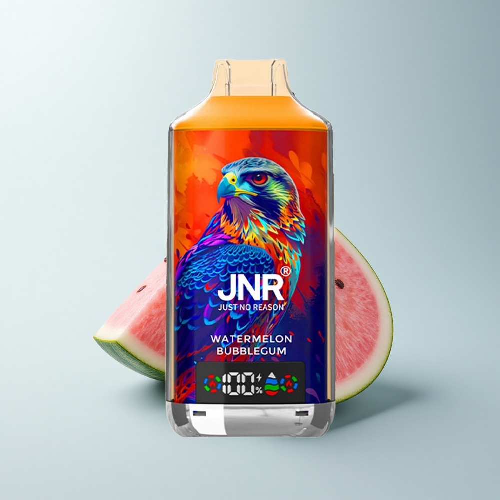 JNR Falcon X 18000 Puffs Pastèque Bubblegum Double Mesh 24ml