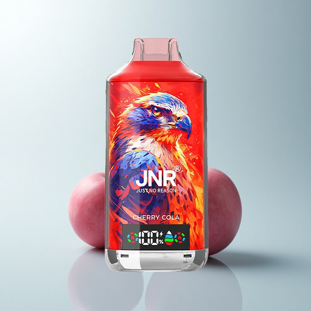 JNR Falcon X 18000 Puffs Raison Cerise Noir 750mAh Double Mesh