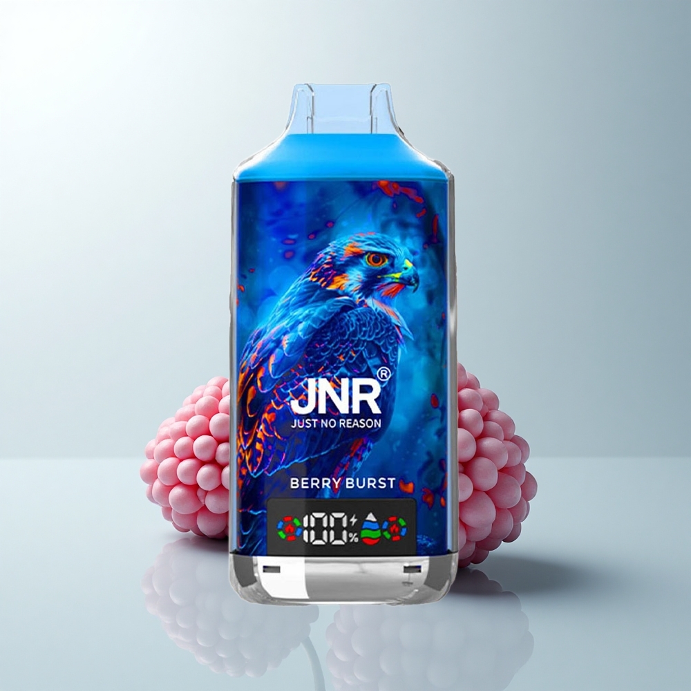 JNR Falcon X 18000 Puffs Éclat de Baies Dual Mesh 24ml Type-C