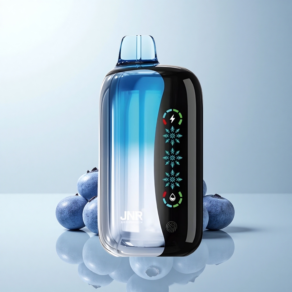 JNR Flex Ice 21000 Puffs Glace Myrtille Dual Mesh Réglable