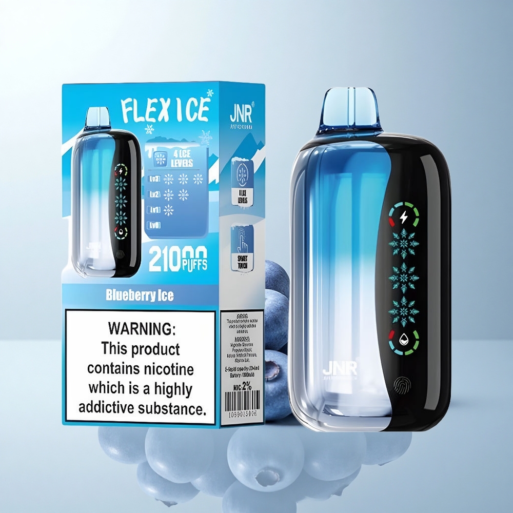 JNR Flex Ice 21000 Puffs Glace Myrtille Dual Mesh Réglable