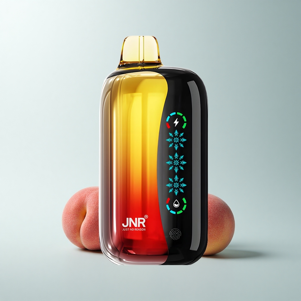 JNR Flex Ice 21000 Puffs Pêche Mangue Ananas Glace Réglable Dual Mesh Type-C