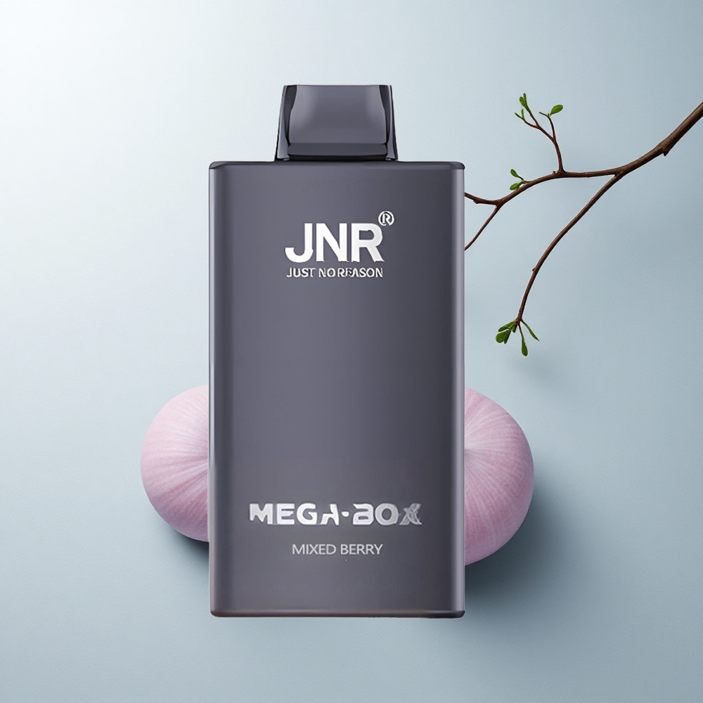 JNR Mega Box 25000 Puffs Baies Mixtes Dual Mesh 30ml Type-C