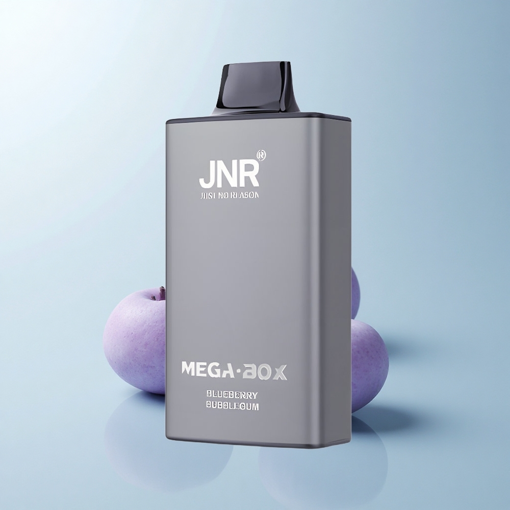 JNR Mega Box 25000 Puffs Chewing-gum Myrtille Dual Mesh Charge Rapide