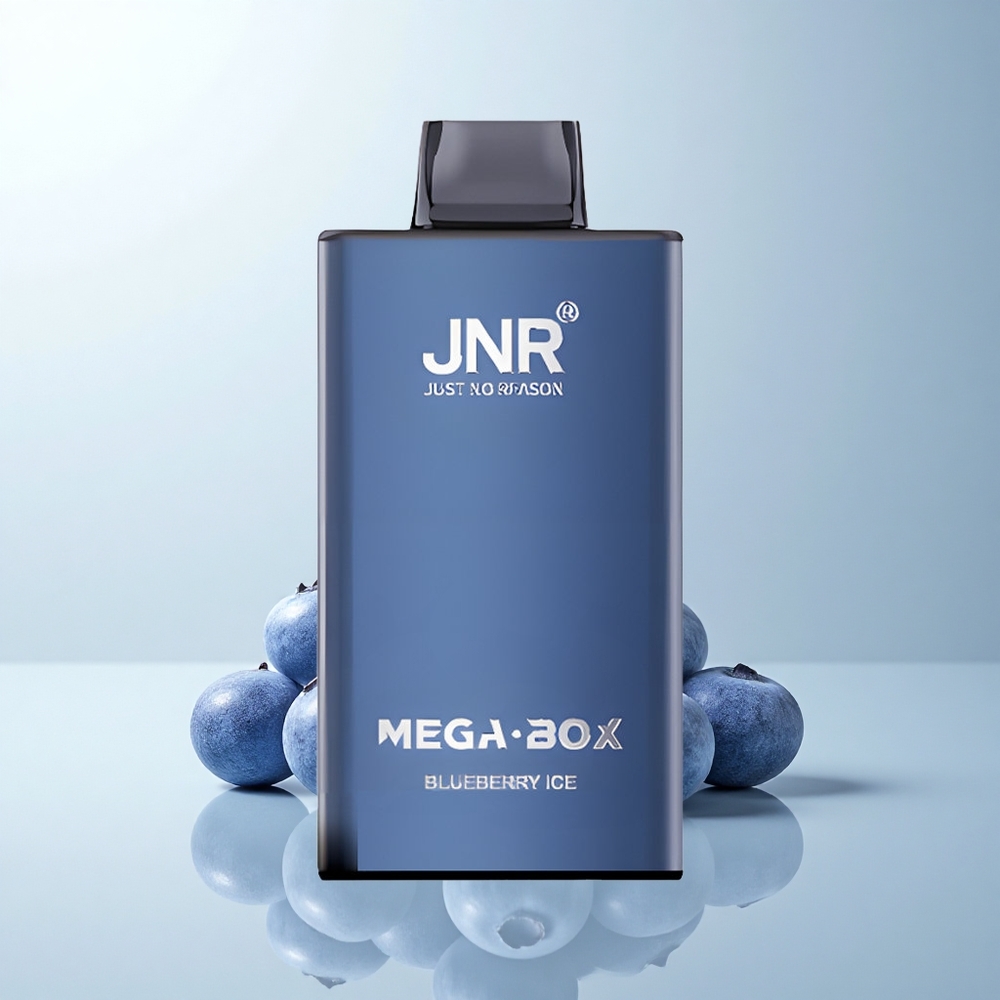 JNR Mega Box 25000 Puffs Glace Myrtille Dual Core Type-C