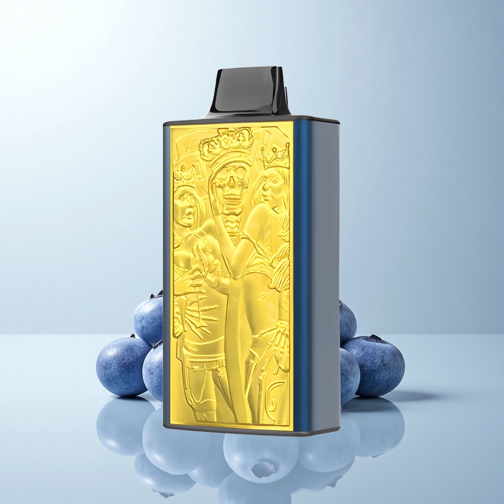 JNR Mega Box 25000 Puffs Glace Myrtille Dual Core Type-C