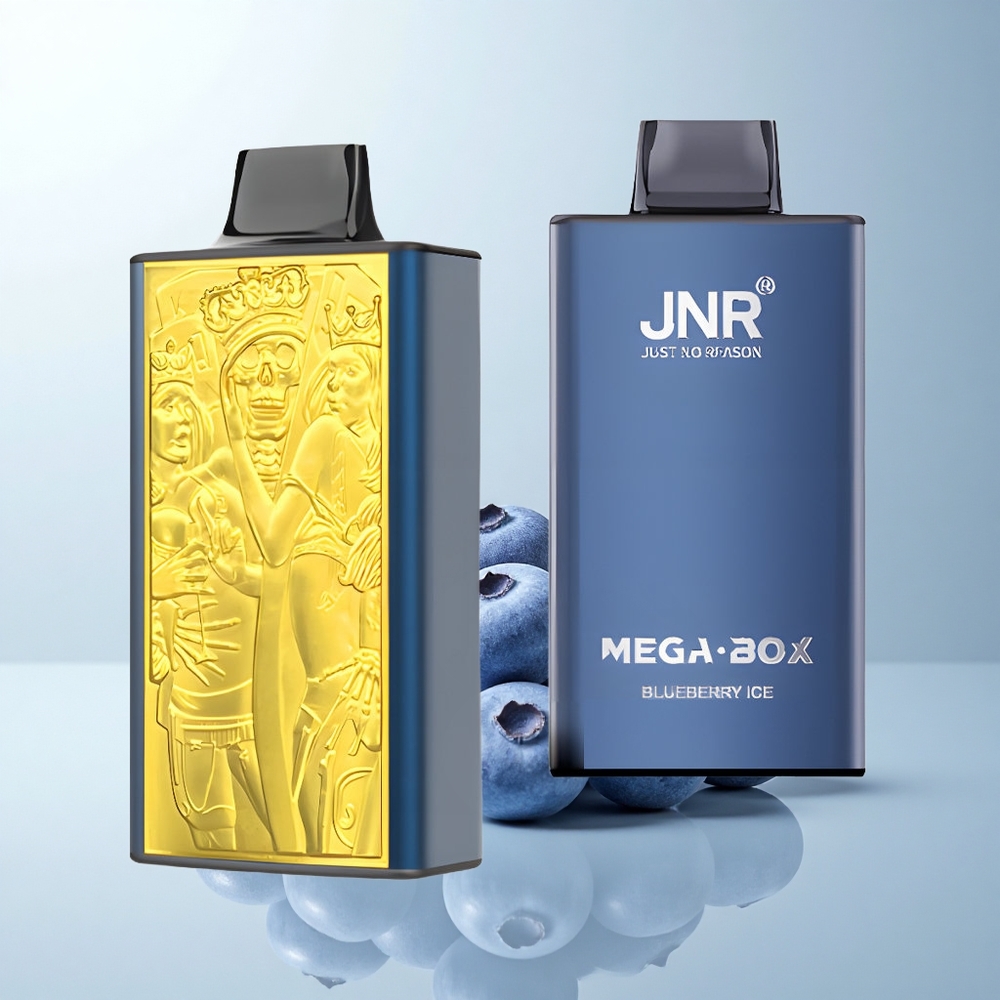 JNR Mega Box 25000 Puffs Glace Myrtille Dual Core Type-C