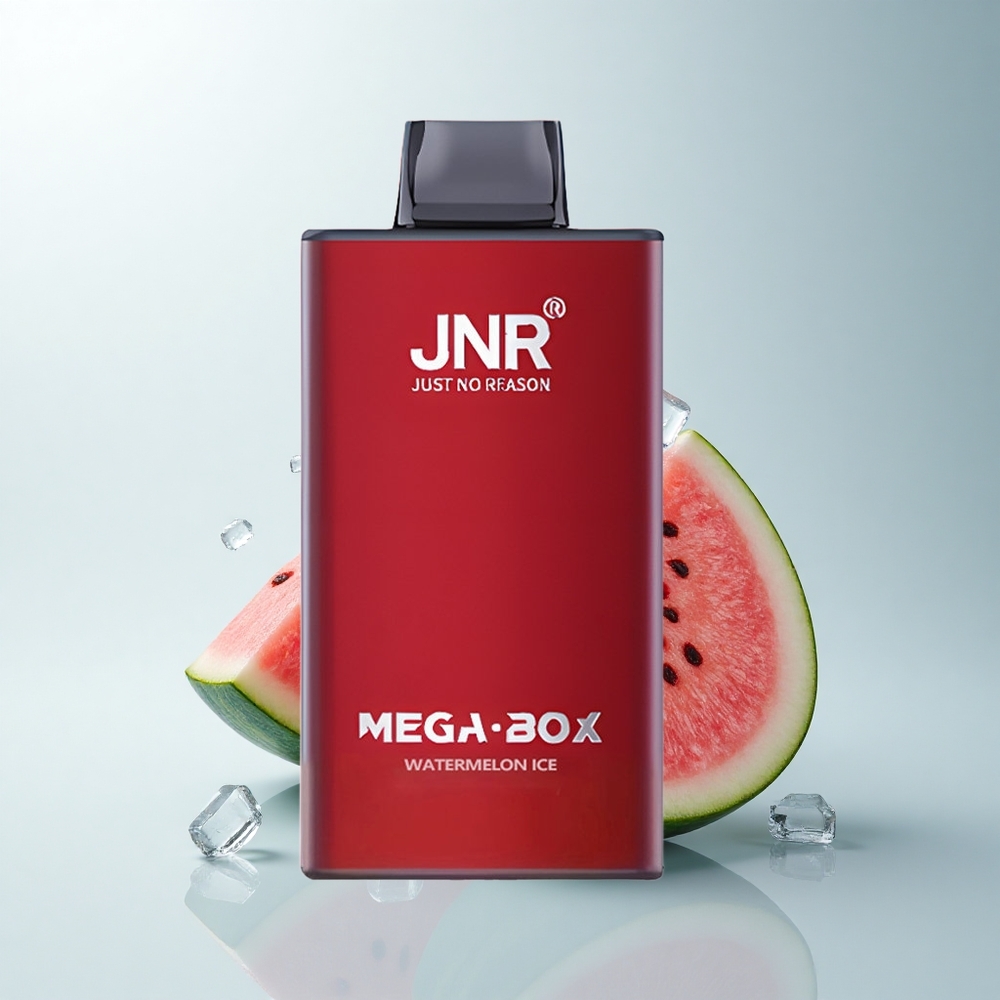 JNR Mega Box 25000 Puffs Glace à la Pastèque Dual Charge Rapide
