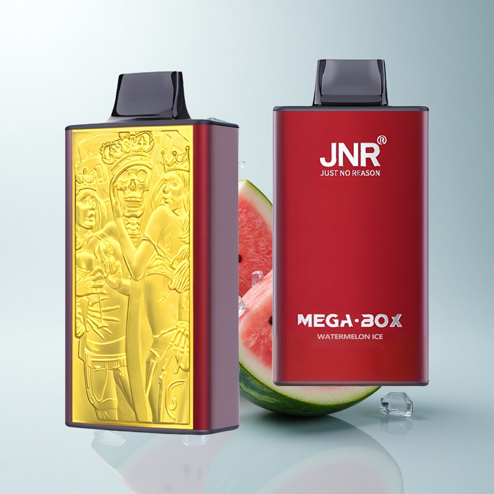 JNR Mega Box 25000 Puffs Glace à la Pastèque Dual Charge Rapide