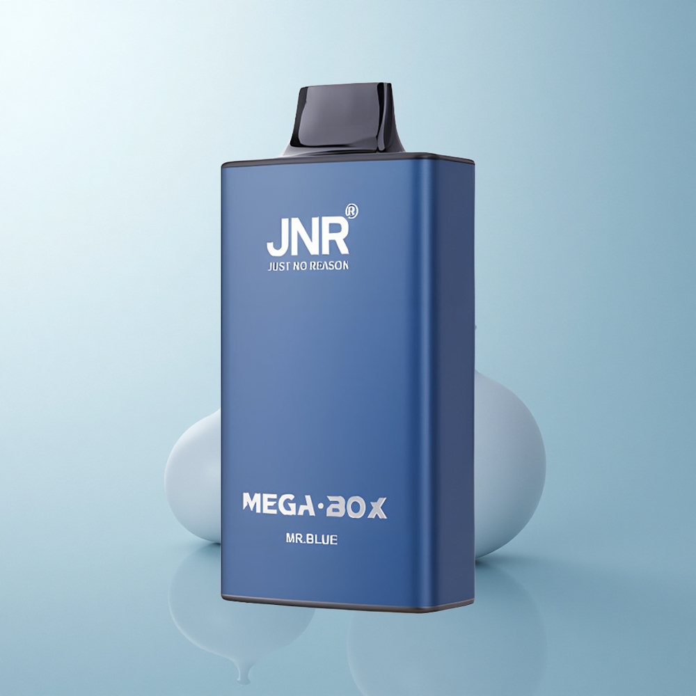 JNR Mega Box 25000 Puffs Monsieur Bleu Dual Mesh 30ml Type-C