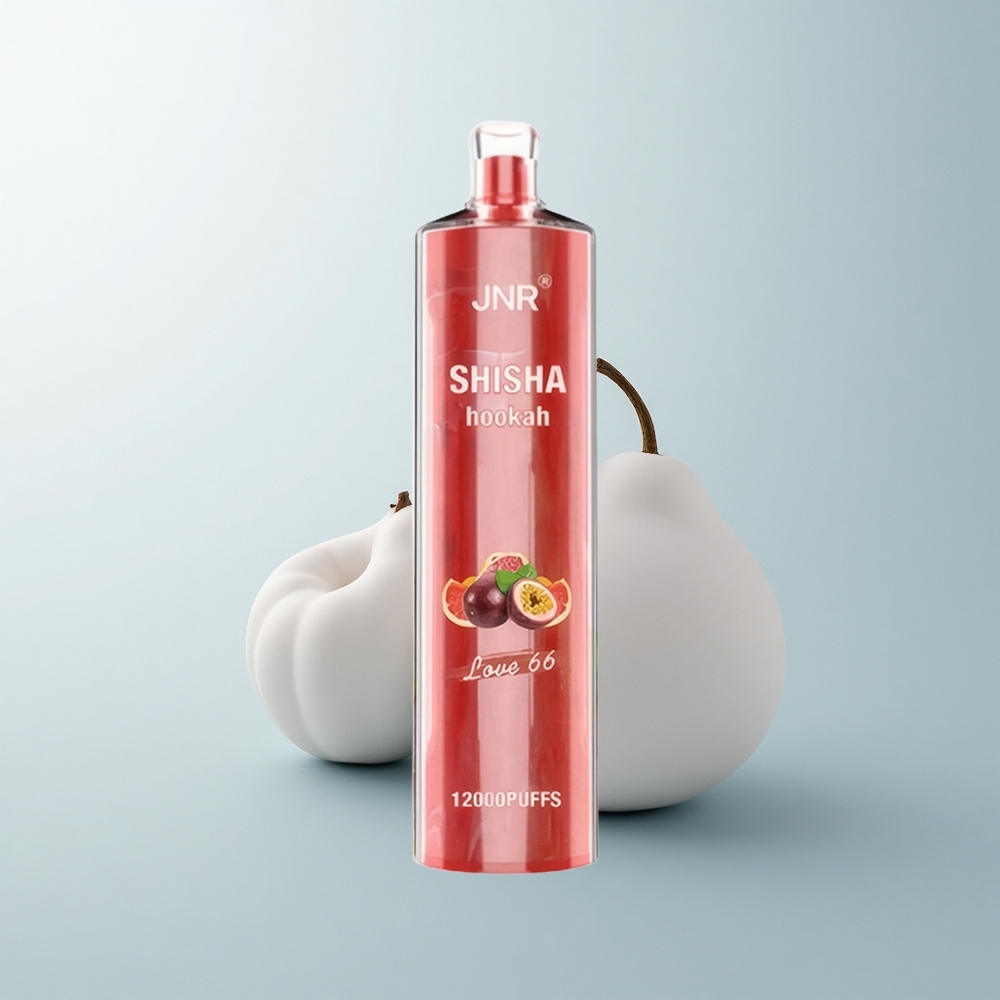 JNR Shisha Hookah 12000 Puffs Amour 66 24ml 750mAh