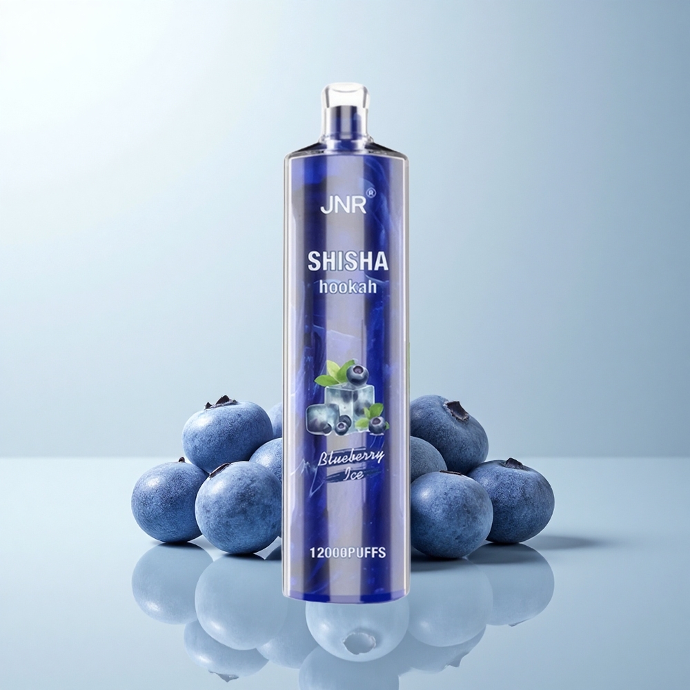 JNR Shisha Hookah 12000 Puffs Glace Myrtille 24ml 750mAh Type-C