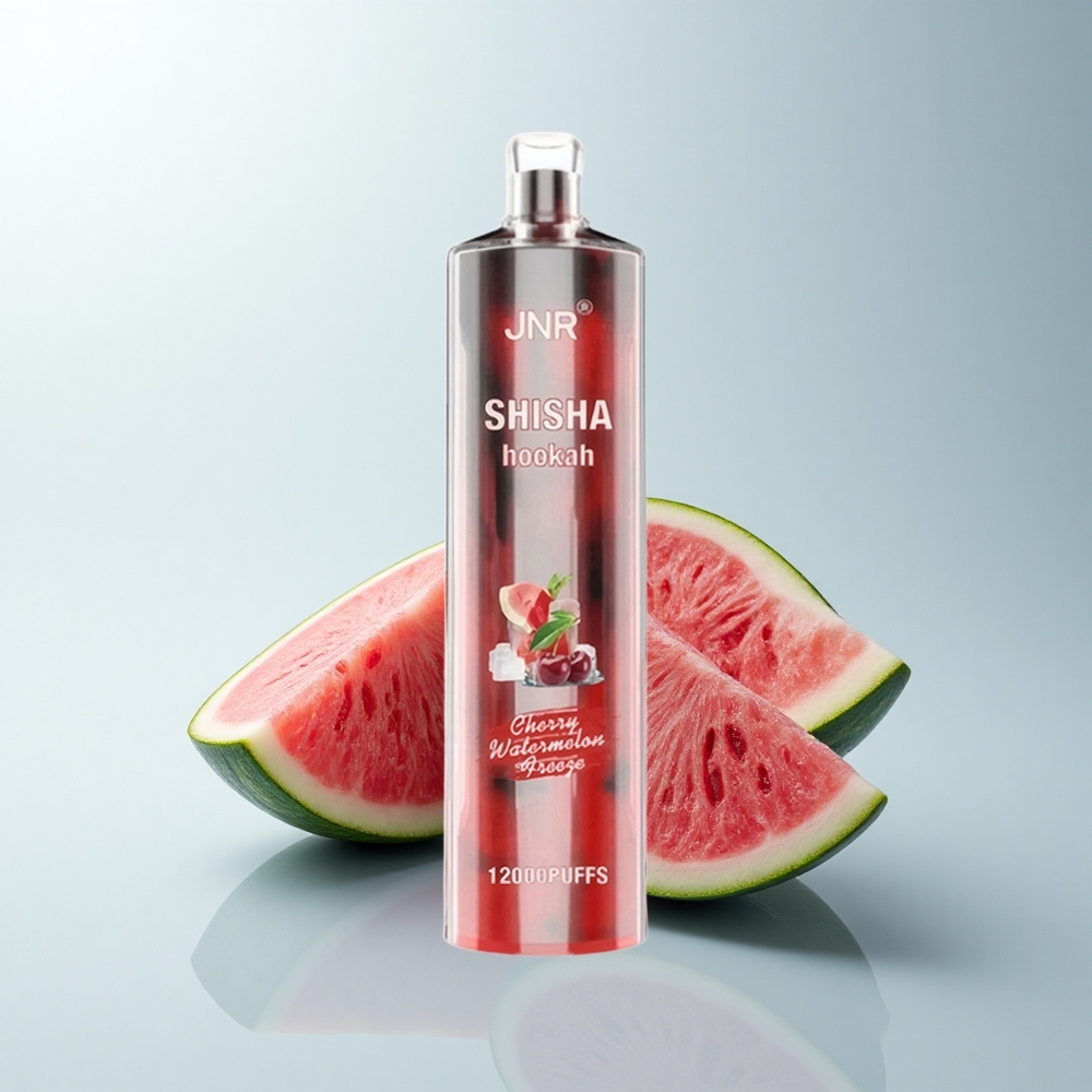 JNR Shisha Hookah 12000 Puffs Glace Pastèque Cerise avec 24ml et Charge Rapide Type-C