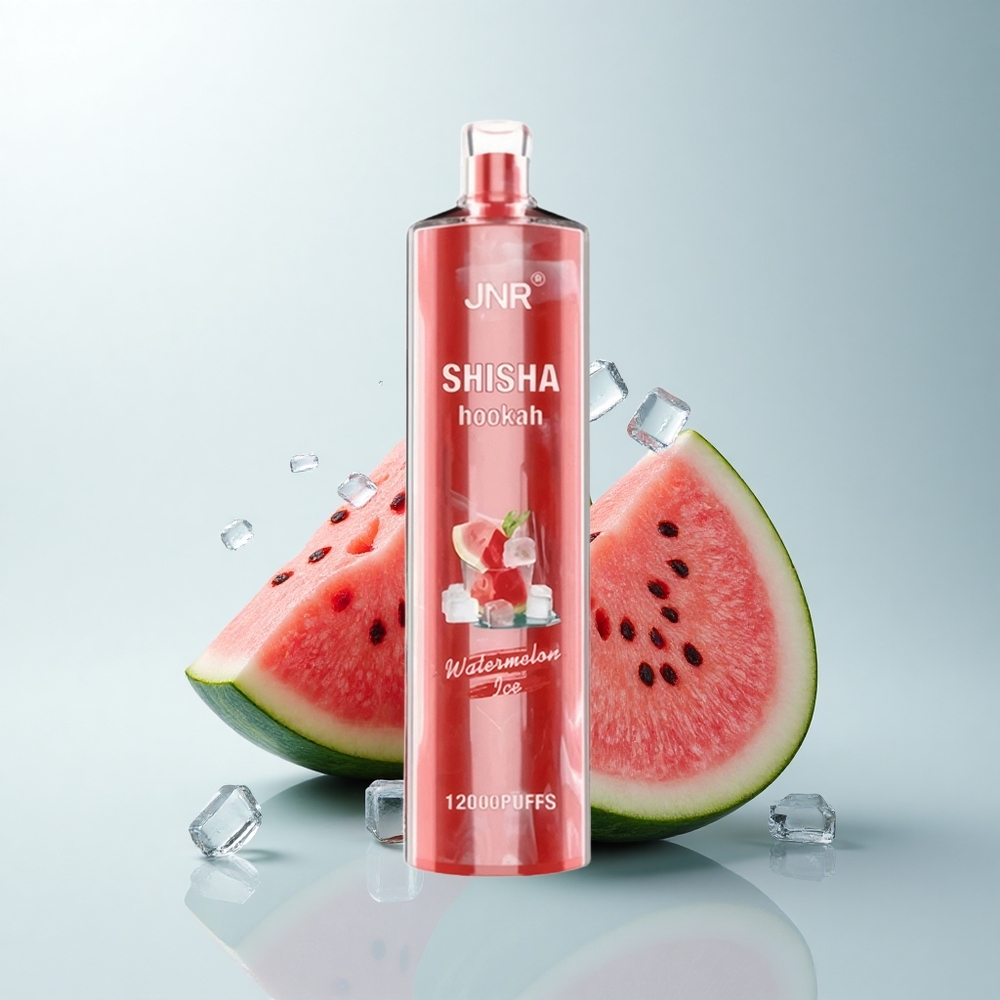 JNR Shisha Hookah 12000 Puffs Glace à la Pastèque 12000 Puffs 24ml