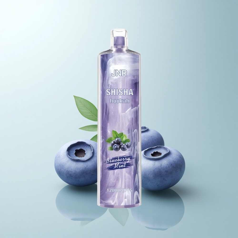 JNR Shisha Hookah 12000 Puffs Menthe Myrtille 24ml 750mAh