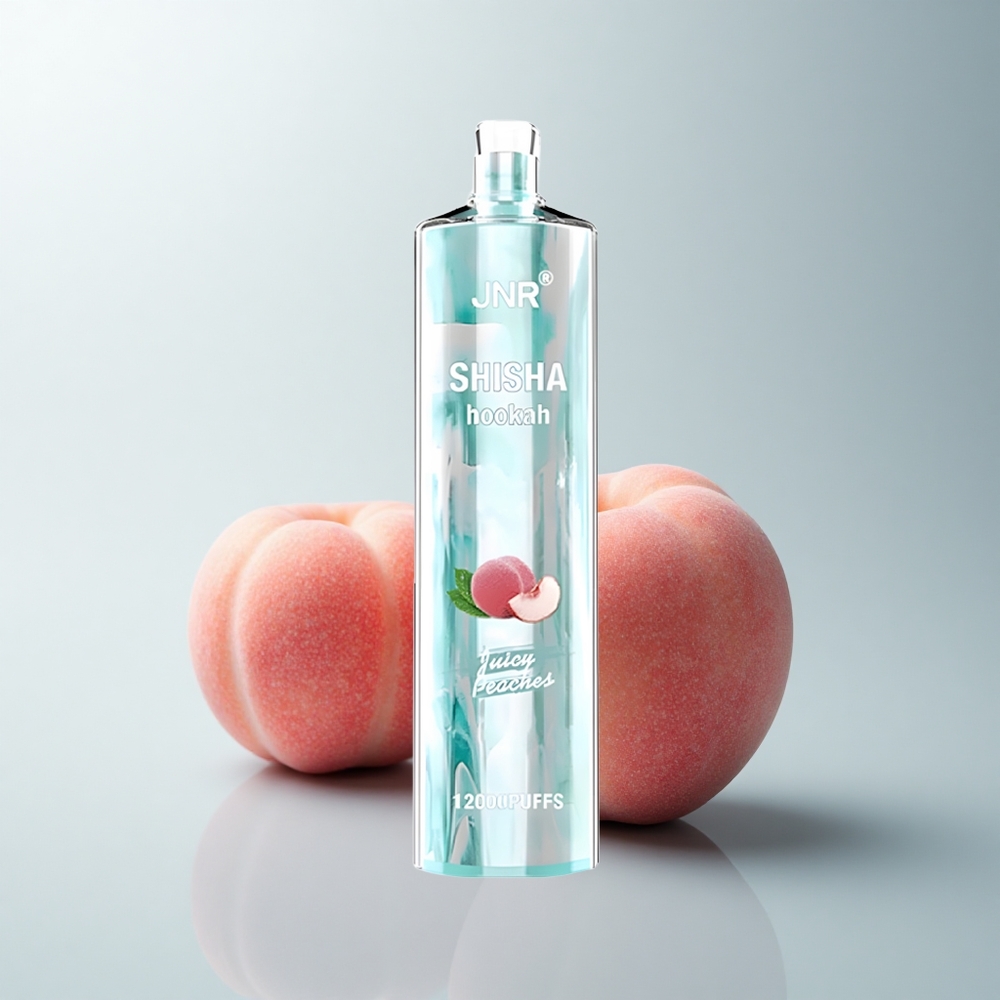 JNR Shisha Hookah 12000 Puffs Pêches Juteuses 24ml 750mAh Type-C