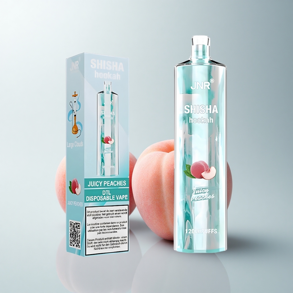 JNR Shisha Hookah 12000 Puffs Pêches Juteuses 24ml 750mAh Type-C