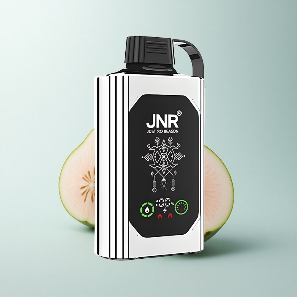 JNR Shisha Hookah Box 20500 Puffs Double Melon Menthe avec Affichage HD et Double Bobine Maillée