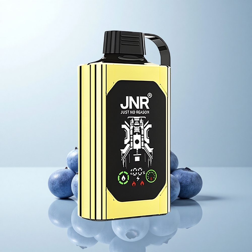 JNR Shisha Hookah Box 20500 Puffs Glace Myrtille HD Dual Mesh Charge Rapide